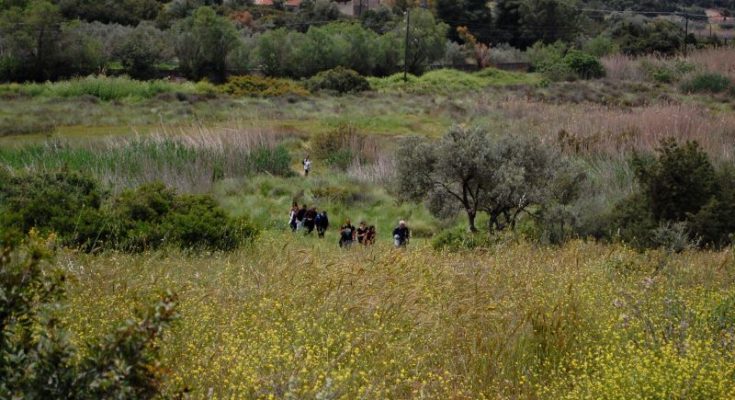 Στον υγροβιότοπο έχουν καταμετρηθεί 49 προστατευόμενα είδη πουλιών ενώ αποτελεί σημαντικό σταθμό των μεταναστευτικών πουλιών.
